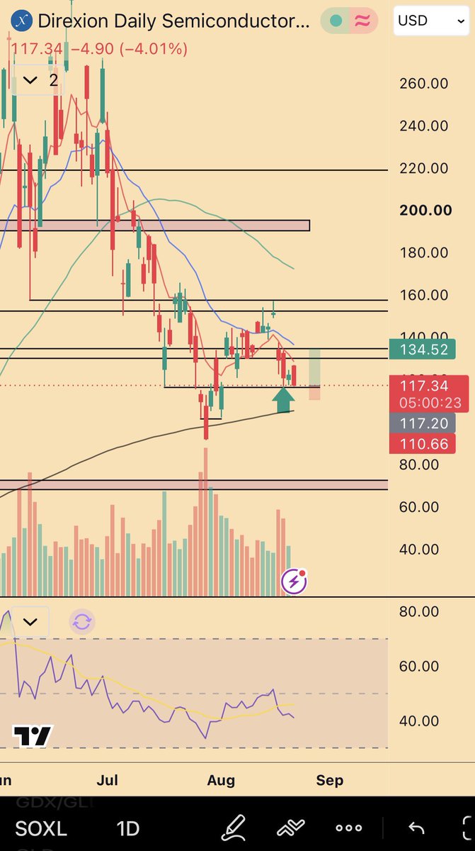 The Lazarus Reflex setup — the $140 SOXL / $728 QQQ Aug 28 calls, drawn up and named before the local response
