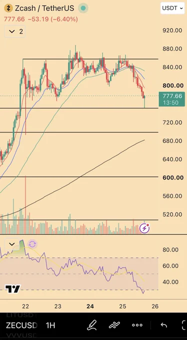 The ZEC visual Mandelbrot posted during the push toward the prior peak.