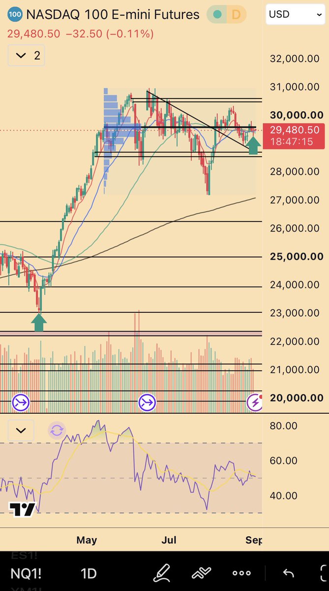 Nasdaq 100 E-mini futures at 29,480.50 (−0.11%) — the long view of a tape printing bear-market internals